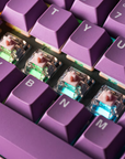 Gateron Melodic Switches (X10)
