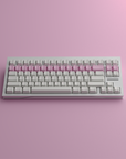 DCS Pink Alert (Group Buy)