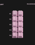 DCS Pink Alert (Group Buy)