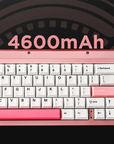 Yunzii AL66 Knob CNC Aluminium Wireless Mechanical Keyboard