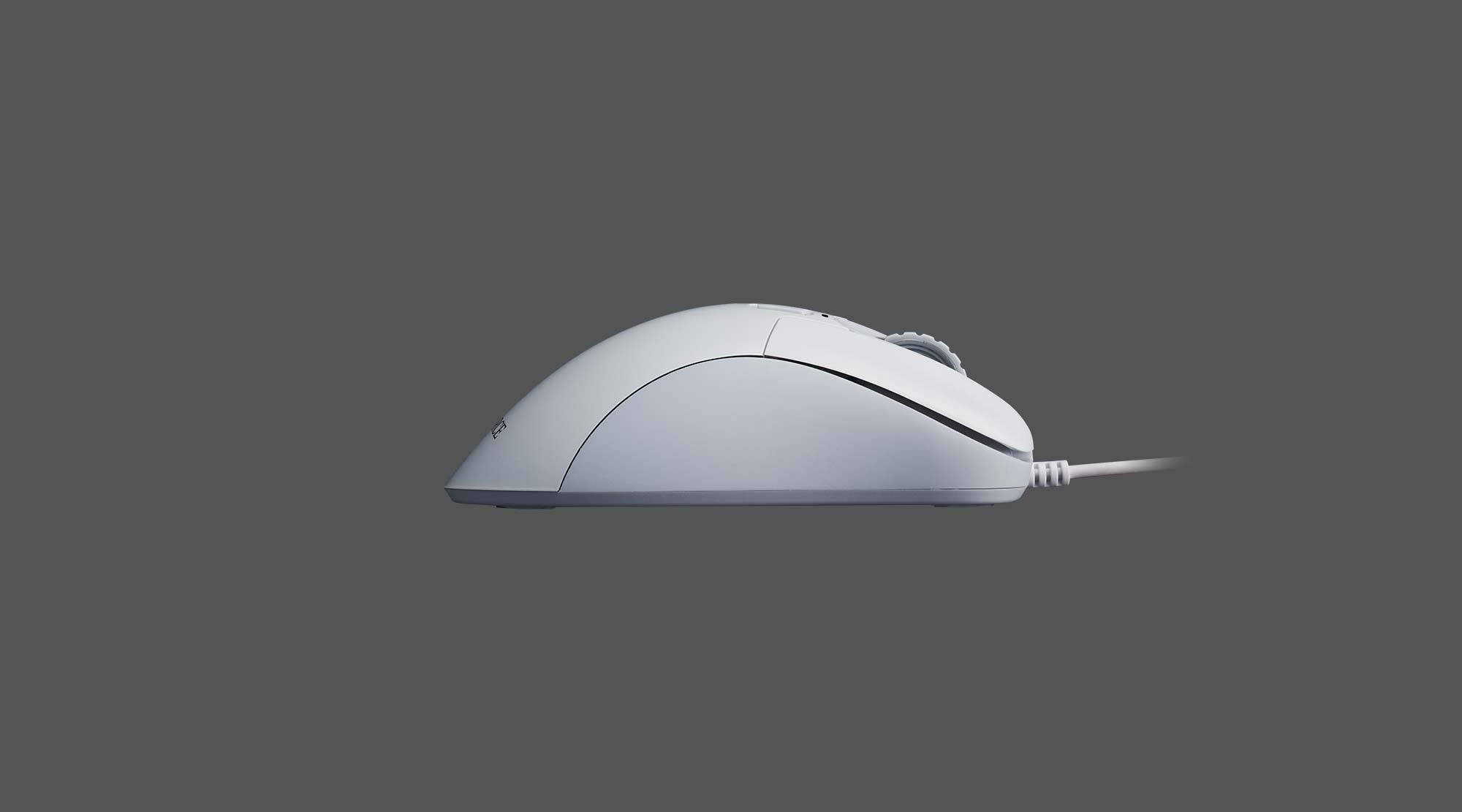 Realforce RM1 Mouse