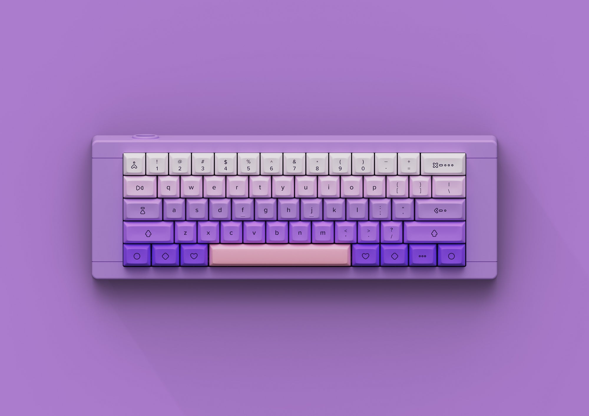 KAM Li&#39;l Dragon BBox60