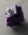 Tecsee Purple Panda Switches (x10)