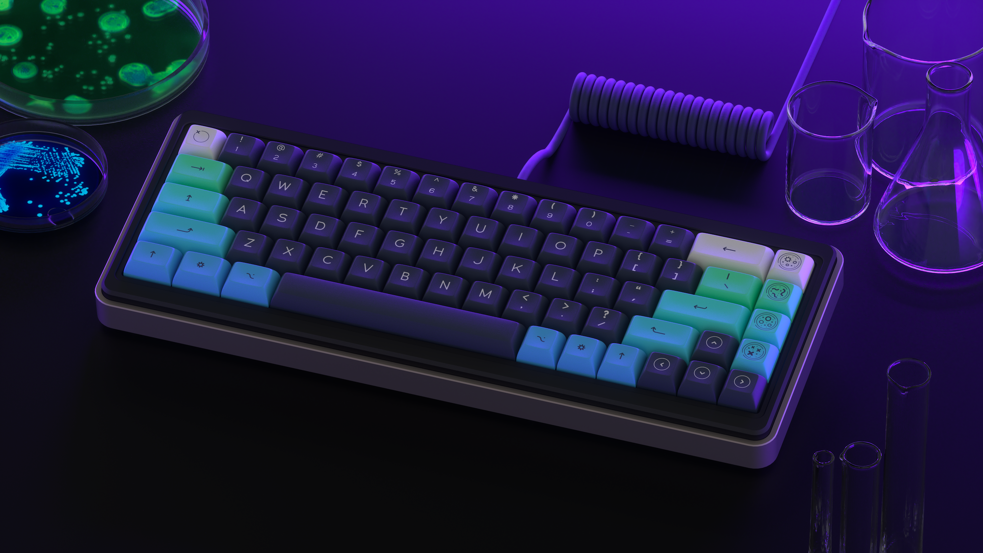 DSA Petrikeys (Ended)