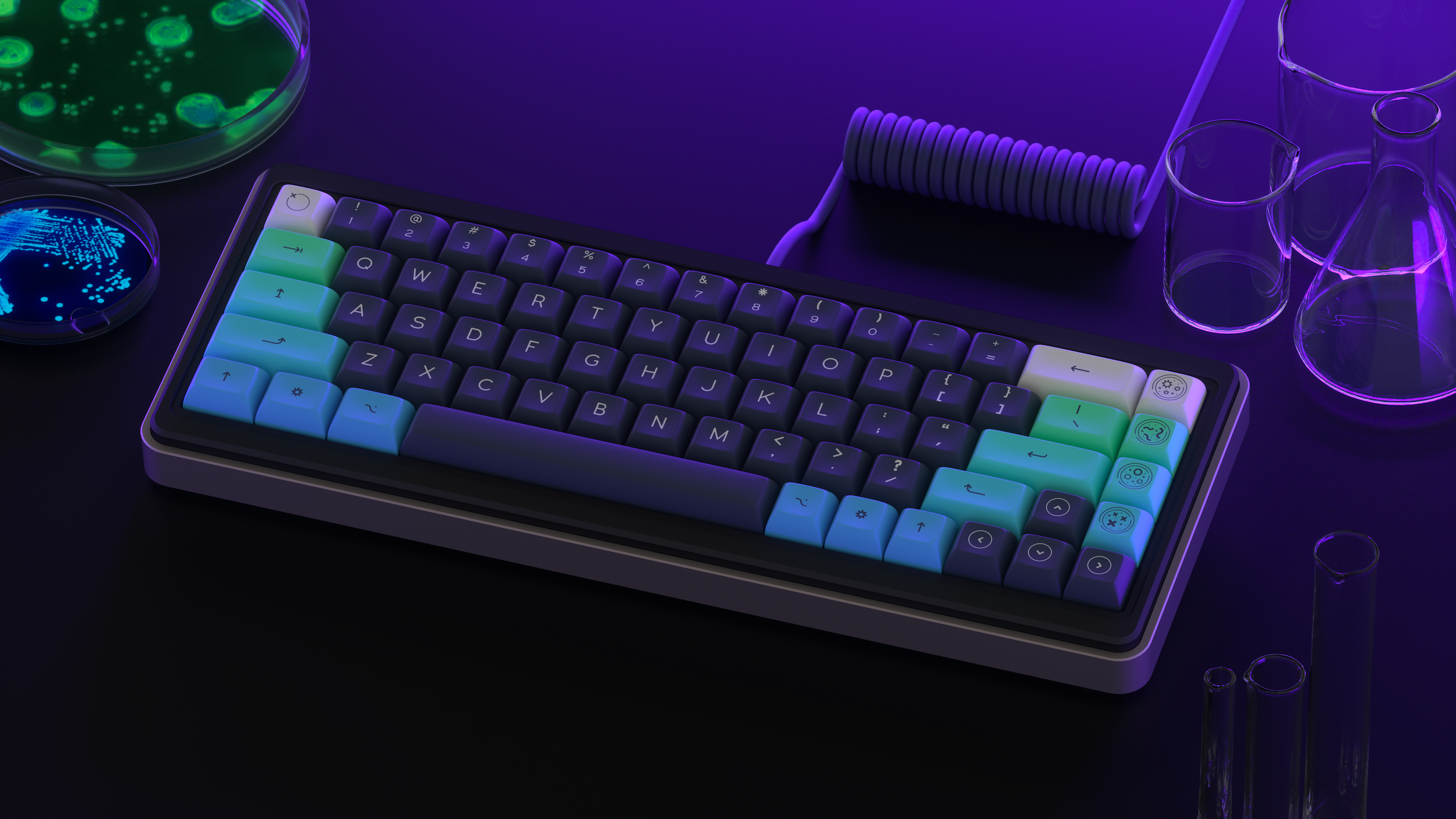 DSA Petrikeys