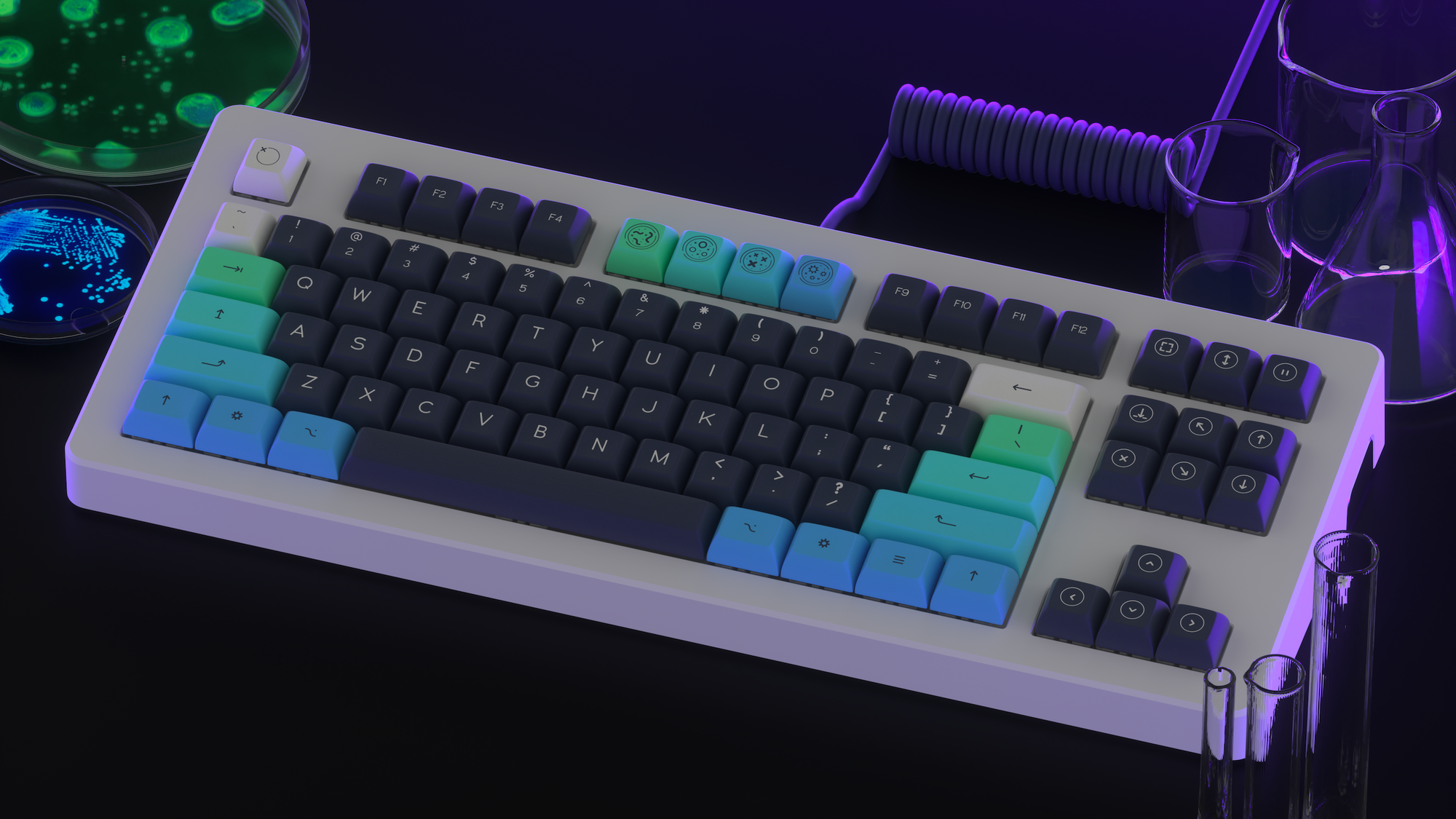 DSA Petrikeys (Ended)