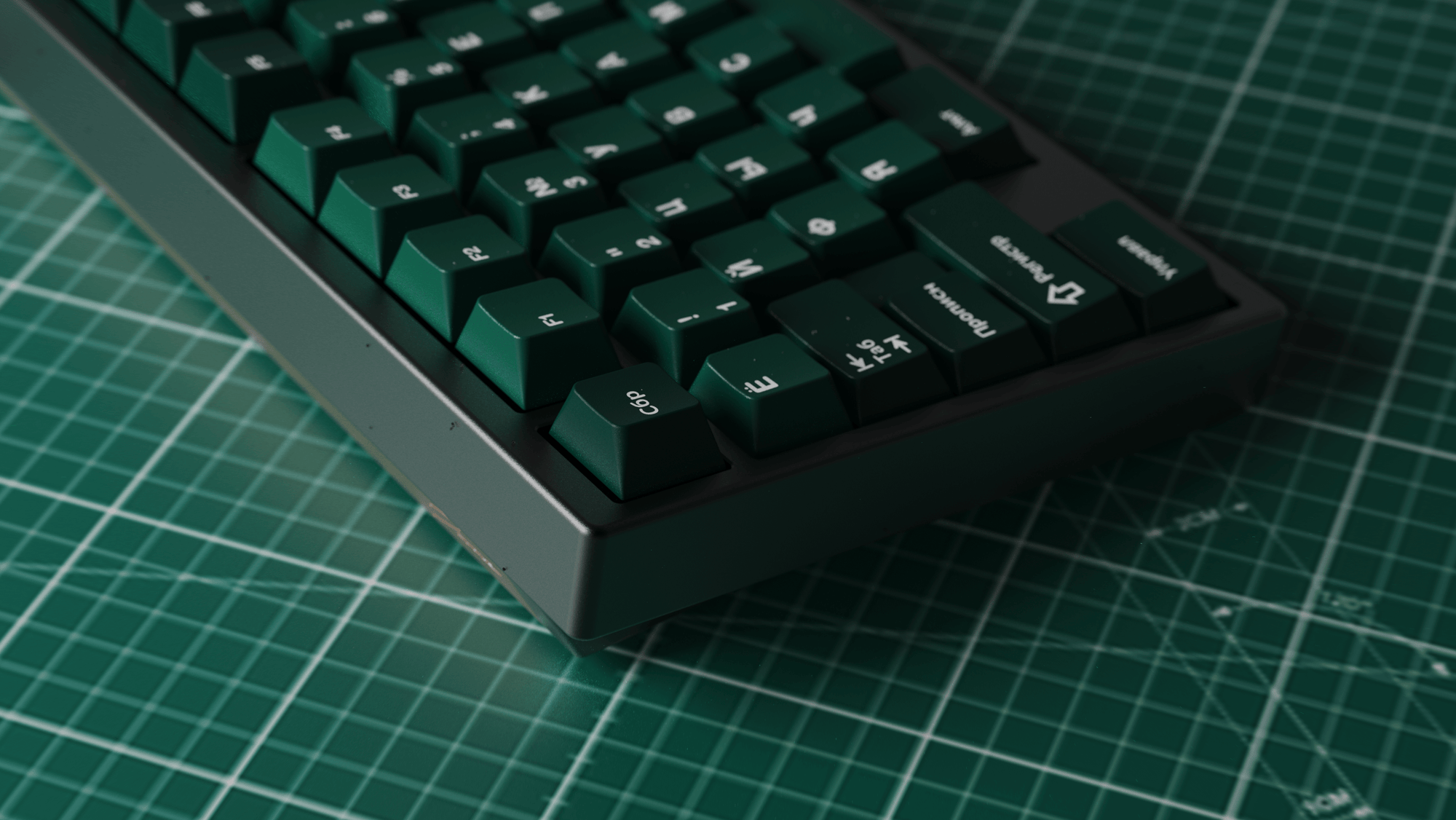 新品】 GMK Taiga CYL キーキャップ 新品】 GMK Taiga CYL キーキャップ