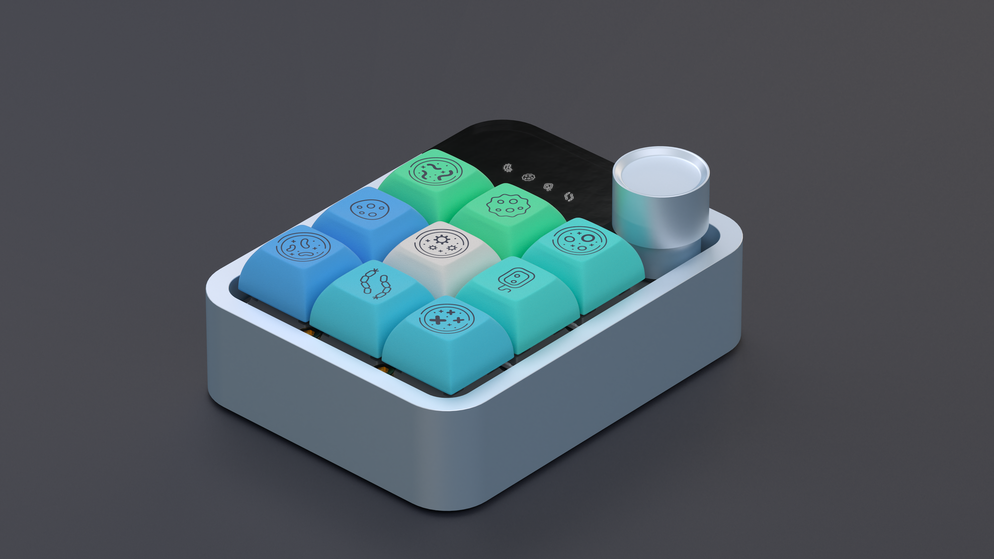 DSA Petrikeys (Ended)